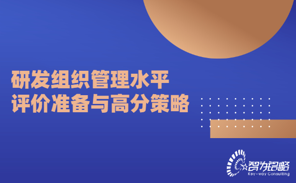 研發組織管理水平評價準備與高分策略.jpg